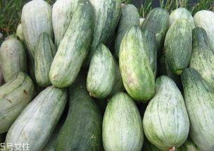 细瓜怎么吃,探索美味新境界  第2张