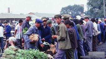 严打时期吃瓜,吃瓜群众的见证与反思  第3张