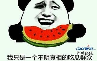 吃瓜群众是西瓜吗,揭秘西瓜背后的趣味故事  第2张