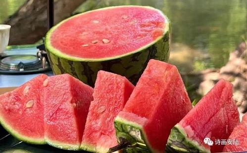 鉴赏官吃瓜,一场视觉与味蕾的双重盛宴 第3张 鉴赏官吃瓜,一场视觉与味蕾的双重盛宴 第3张