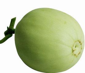 晚上可以吃梨瓜吗,适宜还是禁忌? 第3张 晚上可以吃梨瓜吗,适宜还是禁忌? 第3张