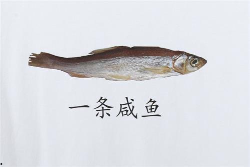 咸鱼小姐的吃瓜日常,揭秘娱乐圈幕后故事 第1张 咸鱼小姐的吃瓜日常,揭秘娱乐圈幕后故事 第1张