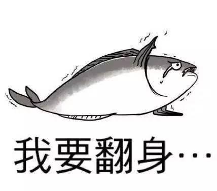 咸鱼小姐的吃瓜日常,揭秘娱乐圈幕后故事 第3张 咸鱼小姐的吃瓜日常,揭秘娱乐圈幕后故事 第3张