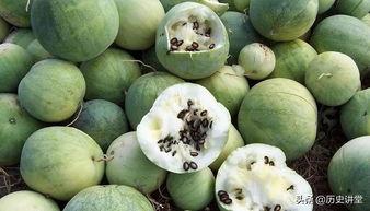 吃瓜群众自带瓜子,揭秘娱乐圈幕后风云 第3张 吃瓜群众自带瓜子,揭秘娱乐圈幕后风云 第3张