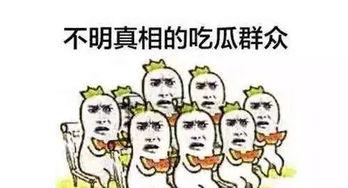 每天吃瓜看戏,我的娱乐生活日常  第3张