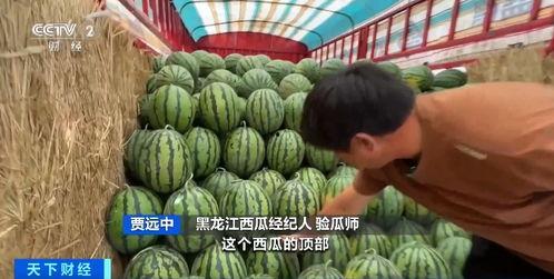 郓城吃瓜吧 第3张 郓城吃瓜吧 第3张