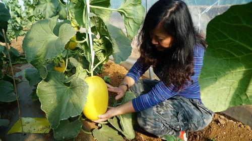 极品诗带你吃瓜,跟随极品诗篇探寻美食之旅 第2张 极品诗带你吃瓜,跟随极品诗篇探寻美食之旅 第2张