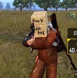 吃鸡素材吃瓜变装图片,吃瓜群众化身战场英雄  第3张