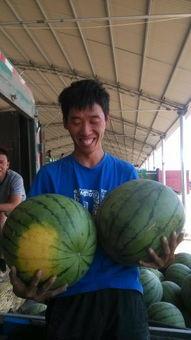 青州今日吃瓜事件  第2张