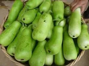 帅哥吃葫芦瓜  第1张