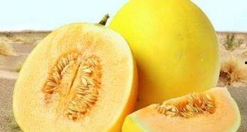 怎么吃伊丽莎白瓜,轻松解锁美味新体验  第2张