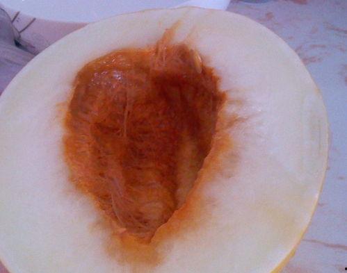 怎么吃伊丽莎白瓜,轻松解锁美味新体验  第3张