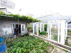 天台新城吃瓜,吃瓜群众的热闹盛宴