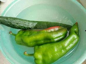 孕中期吃辣的又吃瓜,营养美味兼顾孕期健康