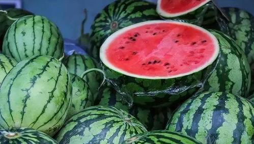 西瓜吃瓜直播,揭秘网红直播背后的精彩故事 第2张 西瓜吃瓜直播,揭秘网红直播背后的精彩故事 第2张