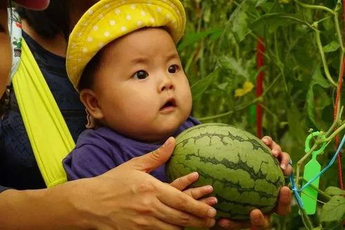 小莫吃瓜群,揭秘娱乐圈幕后故事 第1张 小莫吃瓜群,揭秘娱乐圈幕后故事 第1张