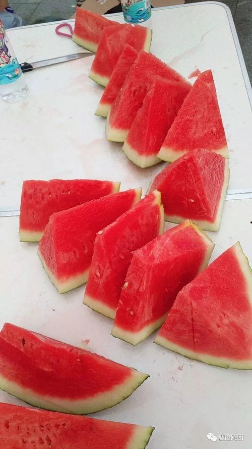 每日大赛吃瓜必吃大瓜,揭秘吃瓜必吃大瓜的精彩瞬间 第3张 每日大赛吃瓜必吃大瓜,揭秘吃瓜必吃大瓜的精彩瞬间 第3张