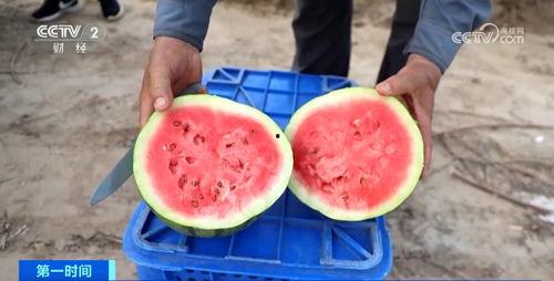 吃瓜群众类型的人,不同类型的人生百态 第3张 吃瓜群众类型的人,不同类型的人生百态 第3张