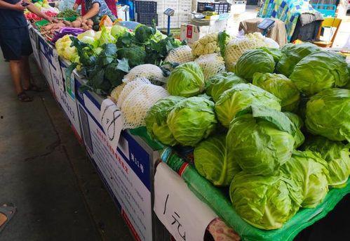 临沧吃瓜大妈,揭秘当地独特美食文化