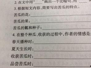 搞怪吃瓜短文阅读,搞怪吃瓜短文精选 第2张 搞怪吃瓜短文阅读,搞怪吃瓜短文精选 第2张