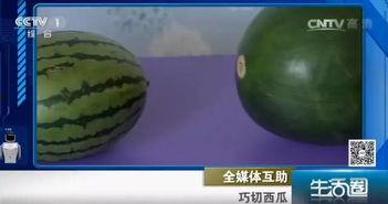 吃瓜不吐西瓜籽故事,揭秘瓜界传奇故事 第2张 吃瓜不吐西瓜籽故事,揭秘瓜界传奇故事 第2张