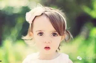 吃瓜少女菲菲,揭秘娱乐圈幕后故事  第2张