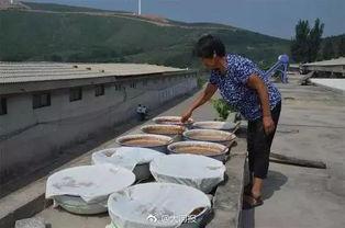 大妈边境吃瓜,揭秘边境风情与民间故事