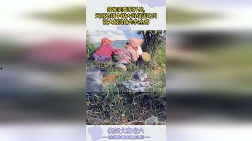 大妈边境吃瓜,揭秘边境风情与民间故事  第2张