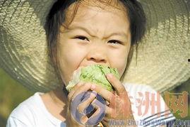 小朋友地里吃瓜,小农夫地里吃瓜记 第2张 小朋友地里吃瓜,小农夫地里吃瓜记 第2张