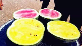 瓜姐吃瓜爆料,揭秘娱乐圈幕后真相