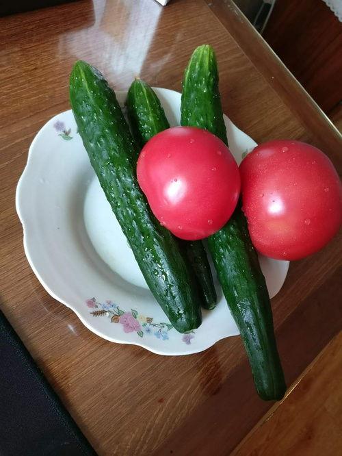 没事晒太阳吃瓜,没事晒太阳，悠然吃瓜度时光  第3张