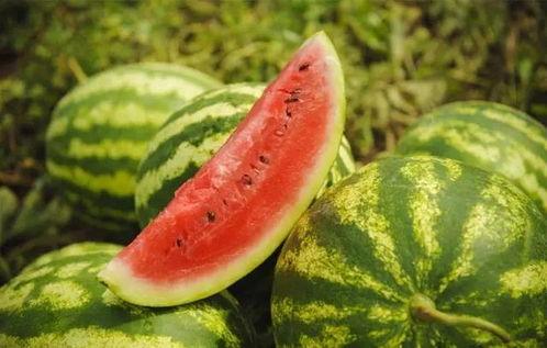 西瓜条过年吃瓜,西瓜条陪你过大年 第3张 西瓜条过年吃瓜,西瓜条陪你过大年 第3张