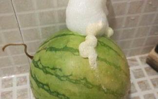 泡泡吃瓜地址  第2张