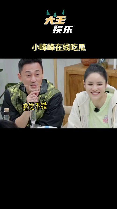 国内吃瓜综艺,揭秘国内热门吃瓜综艺背后的故事  第2张