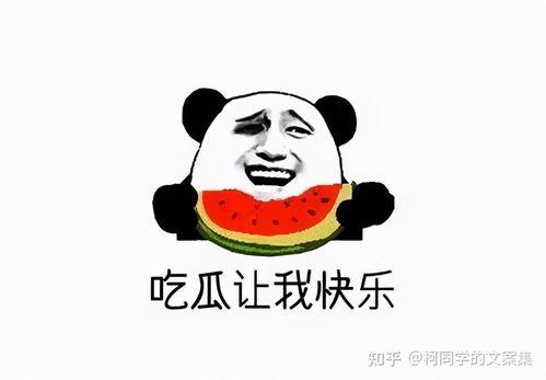 吃瓜找事文案短句  第2张