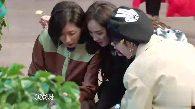赖姐吃瓜版,揭秘娱乐圈幕后真相，带你领略明星们的真实生活  第2张