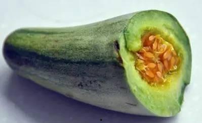 吃牛角瓜视频  第2张