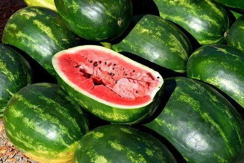 院子吃瓜视频素材大全,素材大全带你领略夏日休闲时光  第2张