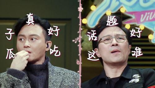 吃瓜视频快乐源泉,快乐源泉，揭秘娱乐圈幕后趣事