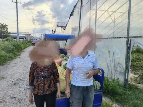 吃瓜被拘留,一例因网络热议被拘留的案例分析