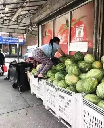 吃瓜 的路人,揭秘街头巷尾的趣味故事  第3张