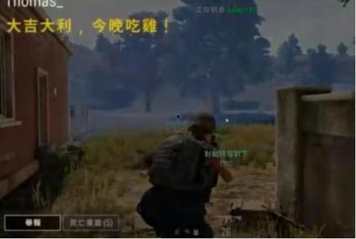 吃鸡情侣瓜,游戏中的浪漫邂逅
