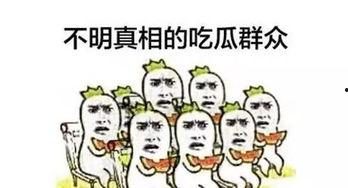 吃瓜群众二三,揭秘网络热议背后的真相  第2张