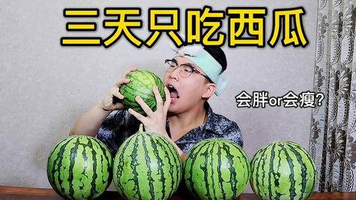 考试前吃的瓜,揭秘考试前的饮食奥秘
