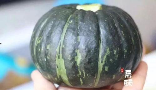 吃板栗瓜的视频,一探究竟的烹饪视频揭秘  第3张