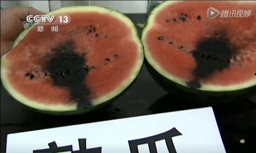 最新吃瓜视频恶心,揭秘最新恶心视频背后的惊人真相 第3张 最新吃瓜视频恶心,揭秘最新恶心视频背后的惊人真相 第3张