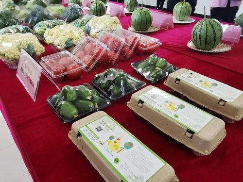 满头问号吃瓜群众,揭秘满头问号吃瓜群众的背后故事