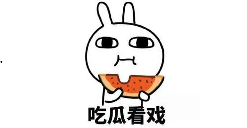 吃瓜官方群194423,一场网络热议背后的故事