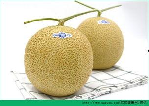 宝宝发烧可以吃哈密瓜吗,宝宝发烧期间适宜食用哈密瓜吗？