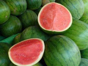 吃瓜多了胃胀,揭秘消化不适背后的真相